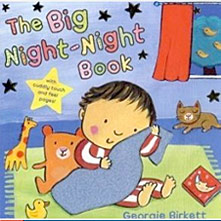 The Big Night-Night book