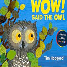 wow-said-the-owl