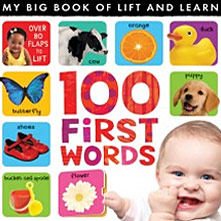 My Big Book of Lift and Learn 100 First Words