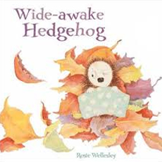 Wide-awake-hedgehog